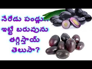 హెల్తీ స్నాక్‌గా నేరేడును తీసుకుంటే? #BlackJamun #health #Snacks #Obesity