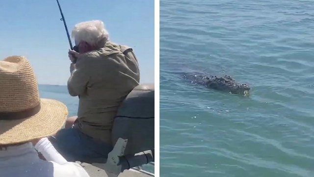 Un pêcheur pense attraper un gros poisson mais il se retrouve avec un crocodile