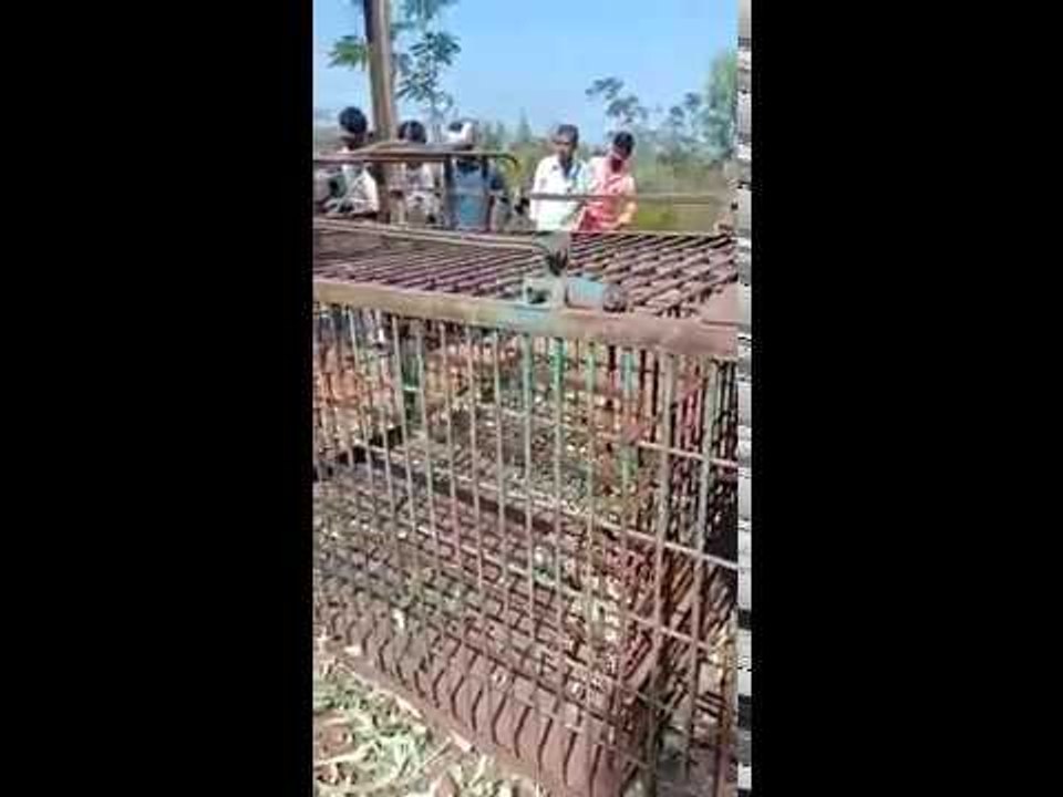 ಬೋನಿಗೆ ಬಿದ್ದ ಚಿರತೆ ಕಂಡು ಬೆದರಿದ ಗ್ರಾಮಸ್ಥರು