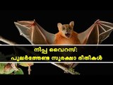 നിപ്പ വൈറസ്: പുലര്‍ത്തേണ്ട സുരക്ഷാ രിതികള്‍