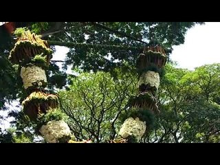 ಯಶ್‌ಗೆ ಸೇಬಿನ ಹಾರ ಹಾಕಿ ಅದ್ಧೂರಿ ಸ್ವಾಗತ ಕೋರಿದ ಅಭಿಮಾನಿಗಳು