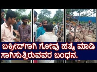 ಕಲಬುರಗಿ: ಬಕ್ರೀದ್‌ಗಾಗಿ ಗೋವು ಹತ್ಯೆ ಮಾಡಿ ಸಾಗಿಸುತ್ತಿರುವವರ ಬಂಧನ.