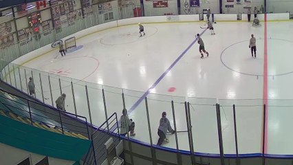 Leafs -vs- Buzzards - FINAL Summer 2019