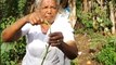 This 82-year-old in Coimbatore is distributing seeds to residents of her village, here's why