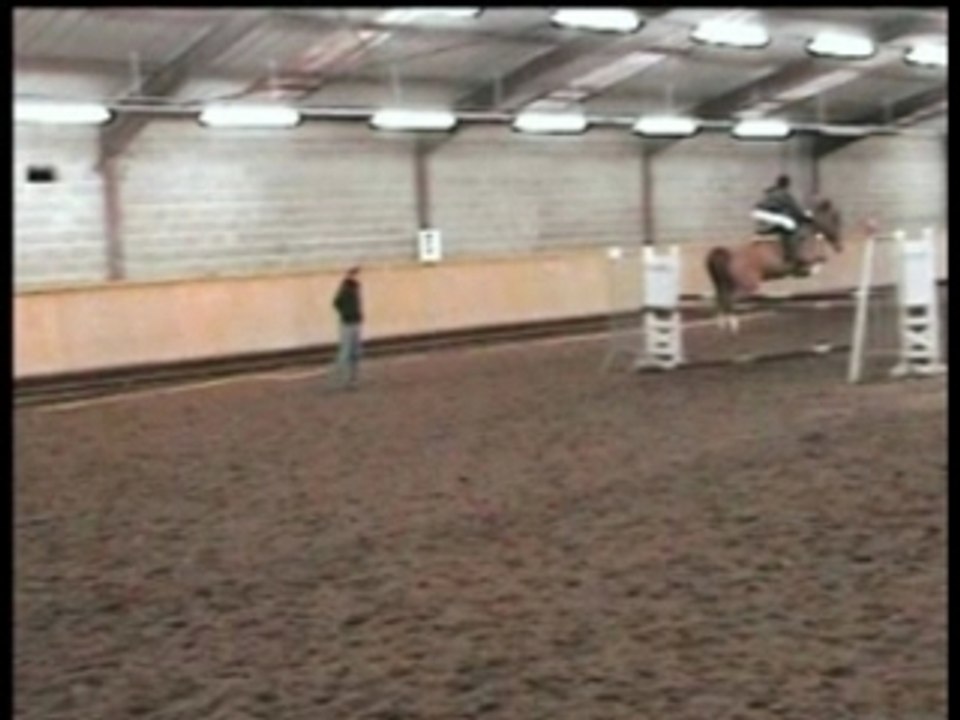 Noé début de saison