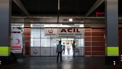 Erzurum ayı dehşeti: 1 ölü, 2 yaralı