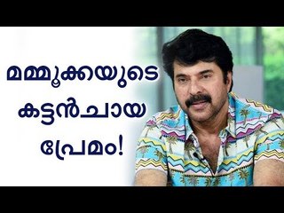 മമ്മൂട്ടിയുടെ സൌന്ദര്യത്തിന്റെ രഹസ്യം ഇതോ? - തുറന്ന് പറഞ്ഞ് പേഴ്സണൽ കുക്ക്
