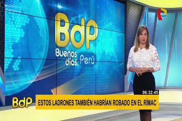 Mall del sur: ladrones roban celular a mujer en centro comercial