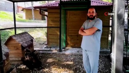 Yaralı kara akbaba tedavi altına alındı