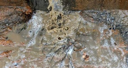 Tuzla'da "köpüklü su" tedirginlik yarattı, numune alındı