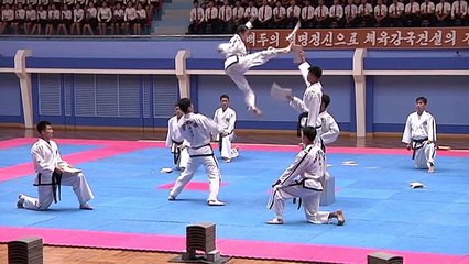 North Korea celebrates founding anniversary of international martial arts committee