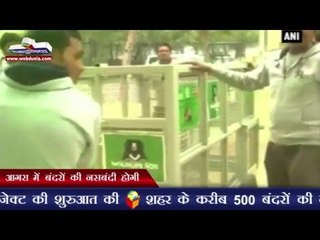 आगरा में बंदरों की नसबंदी होगी | Monkeys to be sterilised in Agra