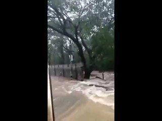 vandalur zoo compound wall breaks