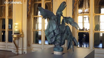 Le coq de Notre-Dame exposé pour les Journées européennes du patrimoine