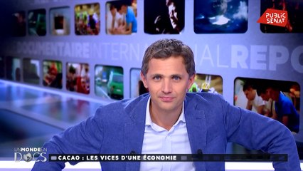 Cacao : une culture destructrice ? - Un monde en docs (21/09/2019)