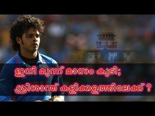 ലോകകപ്പിനു പിന്നാലെ ശ്രീ ടീമില്‍ എത്തുമോ ?; വൈകിപ്പിക്കരുതെന്ന് കോടതി!