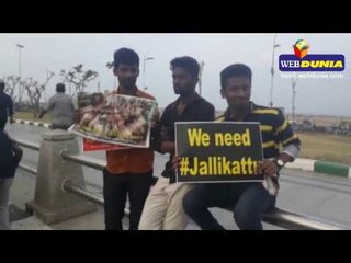 சென்னை மெரினா ஜல்லிக்கட்டிற்கு மாணவர்கள் ஆதரவு 19.01.2017 வீடியோ