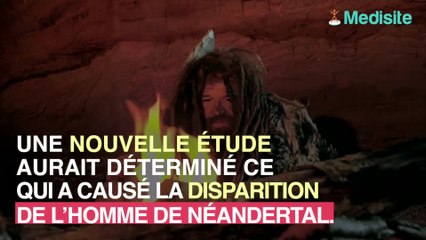 Homme de Néanderthal : on sait enfin pourquoi il a disparu