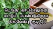 டெங்கு காய்ச்சலுக்கு மட்டும் பயன்படுகிறதா நிலவேம்பு குடிநீர்?