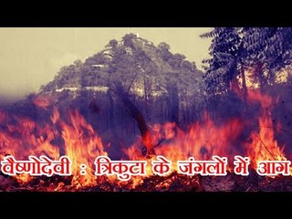 वैष्णोदेवी तीर्थस्थल के करीब त्रिकुटा के जंगलों में आग | Wildfire near Vaishno Devi in Trikuta hills