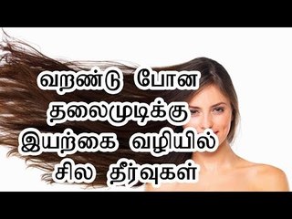 வறண்டு போன தலைமுடிக்கு இயற்கை வழியில் சில தீர்வுகள்