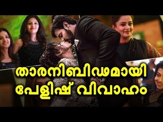 Pearlish wedding ആഘോഷമാക്കി പേളിയുടെയും ശ്രീനിയുടെയും വിവാഹം