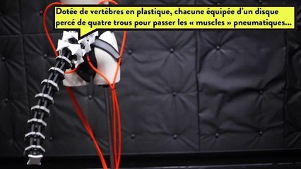 Quand les chercheurs  font la queue ! 