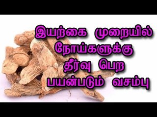 இயற்கை முறையில் நோய்களுக்கு தீர்வு பெற பயன்படும் வசம்பு