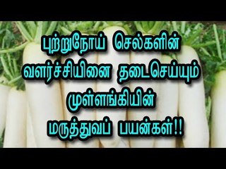 புற்றுநோய் செல்களின் வளர்ச்சியினை தடைசெய்யும் முள்ளங்கியின் மருத்துவப் பயன்கள்!!