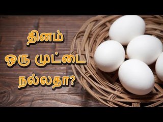 தினம் ஒரு முட்டை நல்லதா?