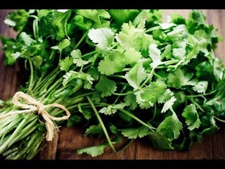 கொத்தமல்லியில் என்னென்ன மருத்துவ குணங்கள் இருக்கு தெரியுமா?