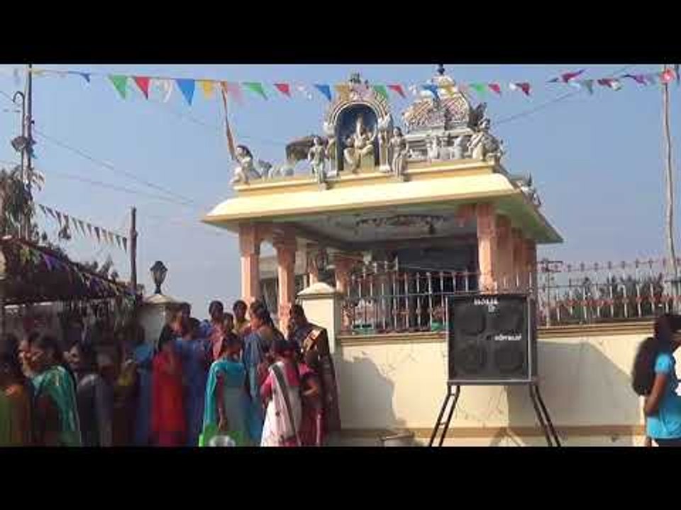 Karur Jallikattu / கரூர் ஜல்லிக்கட்டு