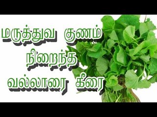 மருத்துவ குணம் நிறைந்த வல்லாரை கீரை