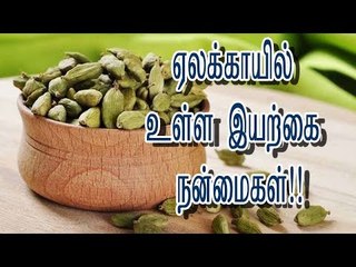 ஏலக்காயில் உள்ள இயற்கை நன்மைகள்!!