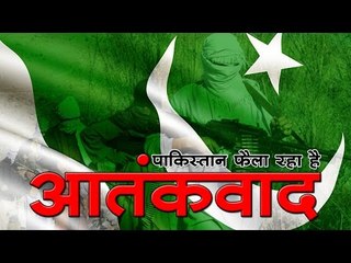 भारत में आतंकवाद फैला रहा है पाकिस्तान, लोकसभा में राजनाथसिंह ने कहा