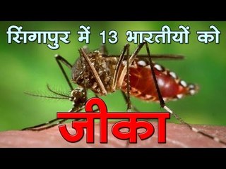 सिंगापुर में 13 भारतीय जीका से संक्रमित, बांग्लादेशी और चीनी भी जीका से प्रभावित