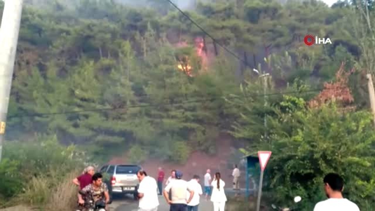 Ortaca'da orman yangını