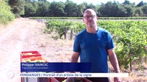 Le journal - 20/09/2019 - VENDANGES Portrait d'un artiste de la vigne