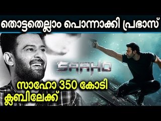 പ്രഭാസ് ചിത്രമായതിനാല്‍ വന്‍ പ്രീ-റിലീസ് ഹൈപ്പ് നേടിയിരുന്നു സാഹോ