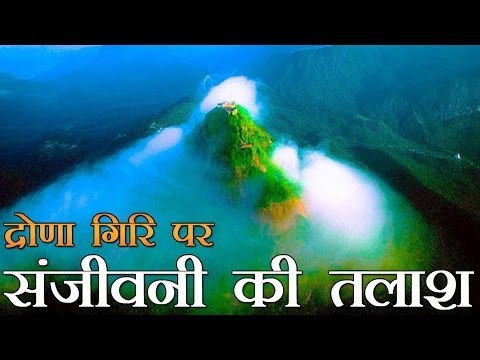 द्रोणा गिरी पर हो रही है संजीवनी बूटी की तलाश | Hunt begins for mythical herb Sanjeevani Booti