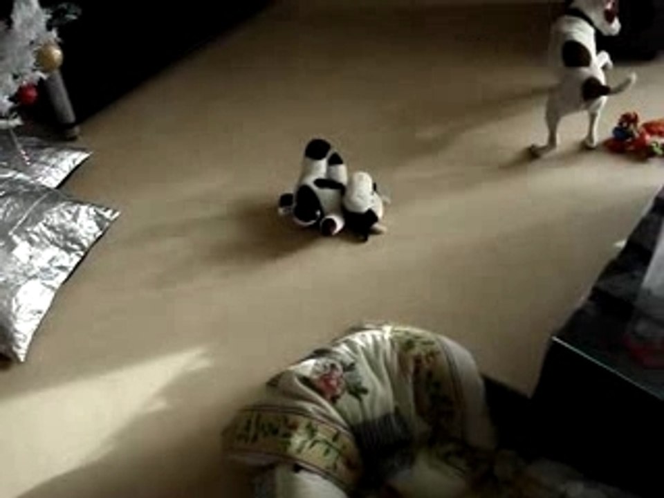 SpykeVSmeuhmeuh