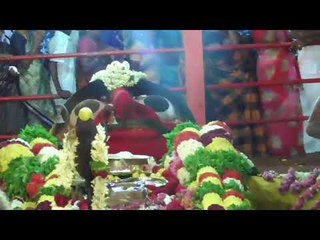 2 ஆயிரம் பழமை வாய்ந்த சடையப்ப சித்தர் சுவாமி  பொங்கல் திருவிழா