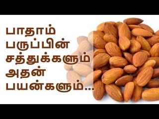 Almonds | பாதாம் பருப்பில் உள்ள சத்துக்களும் அதன் பயன்களும்...!