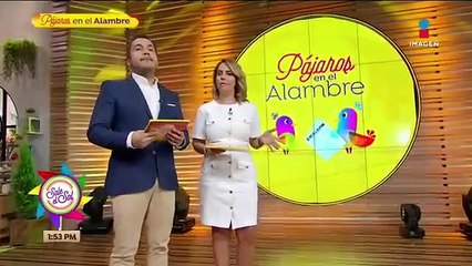 ¡Martha Higareda estrena romance!