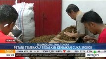 Petani Khawatir Kenaikan Cukai Rokok Kurangi Serapan Tembakau