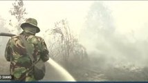 Berjuang Padamkan Lahan Terbakar