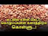 Kollu | உடலில் உள்ள கெட்ட கொழுப்புகளை கரைத்திடும் கொள்ளு...!