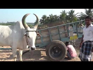 கரூரில் தடையை மீறி மணல் அள்ளியதால் வந்த விபரீதம் .