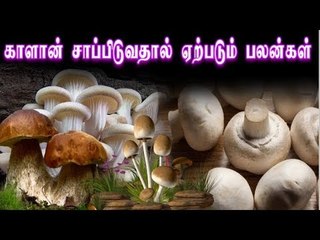 mushrooms Benefits |  காளான் சாப்பிடுவதால் ஏற்படும் பலன்கள்...!