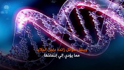 اضرار شرب الماء بكثرة في شهر رمضان